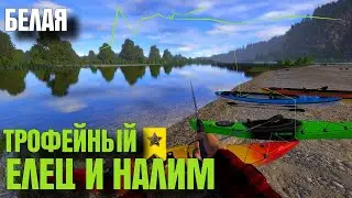 🟢ЛОВИМ НА РЕКЕ БЕЛАЯ🟢ЕЛЕЦ И НАЛИМ🟢|  Русская Рыбалка 4
