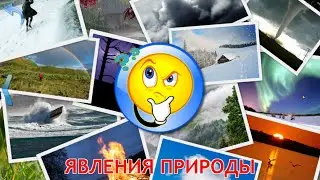 Явления природы. Малыш учит. Играем вместе. Игрушки и игры с детьми.