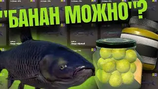 ЧЁРНЫЙ АМУР  на 