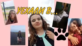 VLOG: УЛЁТНОЕ ТУСЭ, ТАНЦУЛЬКИ С СОБАКАМИ