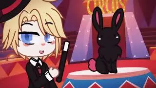 🎪 CIRCUS 🎪 SPY x FAMILY 🎪 Meme