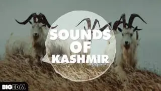 Sounds Of Kashmir [8 KSHMR / Headhunterz Style Kits, 100+ Melodies, Serum & Sylenth1 Presets]