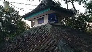 suasana adzan magrib di kampung saya di Mushola Al iksan