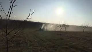 Осенняя обработка сада железным купоросом