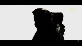 Черемуха