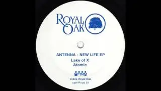 Antenna - Lake Of X