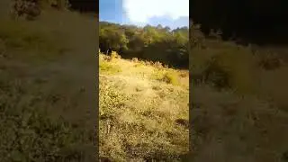 Sakarya Akıncı köyünde bir sonbahar günü,