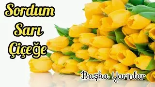 Sordum Sarı Çiçeğe