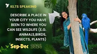 Describe a place in your city you have been to where you can see wildlife e g  animals,birds, insect