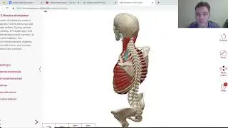 Перечневые олимпиады и разбор СПбГУ по полочкам!