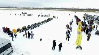 День Пингвина  зима 2016.