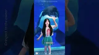 🐋❤️ Косатка Помнила Девочку Спустя Годы — А Потом Случилось Нечто Удивительное! 😱