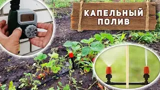 Автоматический капельный полив с Алиэкспресс. Обзор, монтаж своими руками, тест системы из Китая