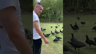 Soy Discípulo De Chulo Man
