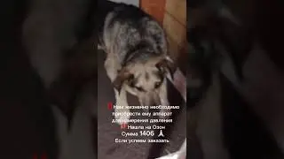 Отчет по сбору на Тимошу, плюс сбор ему на препараты 🙏🏻