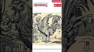 Rasmli test 11. Rasmdagi 2ta erkakni topamiz. Найдёте на картинке двух мужчин? #trend #shorts