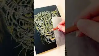 Drawing a Realistic Leopard with Color Pencils- Windy Shih