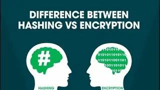Hashing VS Encryption
