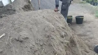 Media Tanam Anggur Pasir Sungai Halus