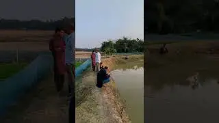 গ্রামের বাড়িতে বর্শি দিয়ে মাছ ধরা হচ্ছে😌#shorts