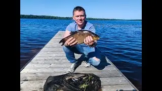 Рыбалка, Ленинградская область, озеро нарядное, база отдыха Глэмпинг Шанти озеро