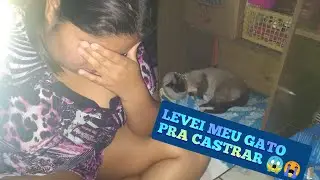 LEVEI MEU GATO PRA CASTRAR E ME ARREPENDI 😔❓(MINI VLOG) ✔️