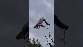 Утреннее чудо...
