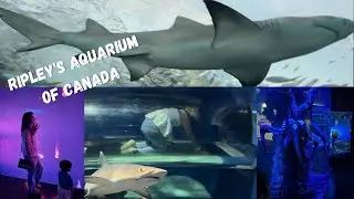 Ripley's Aquarium, Toronto | Full of sharks