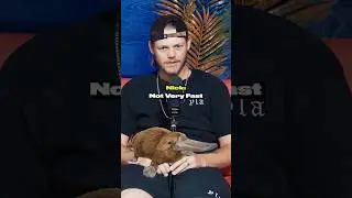 Guess The Imposter CHALLENGE 🤣🔥 (PLATYPUS EDITION)