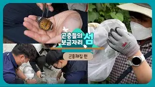 🦗곤충 박사님, 연구원과 함께 곤충채집 탐방기!🦋 곤충들의 보금자리 섬 -곤충채집 편-