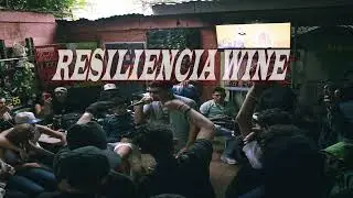 A.K.A STEV - RESILIENCIA WINE | Audio Oficial [LATINO]