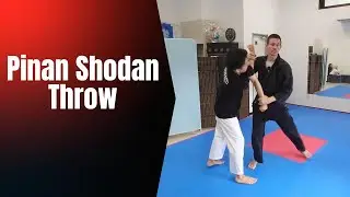 Pinan Shodan Reinforced Block Throw