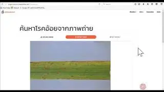 การขีดเส้นใบโดย user และการส่งค่า coordinate (x,y)