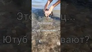Это конец... Ютуб закрывают? #рубина #собака #питомцы #ютуб