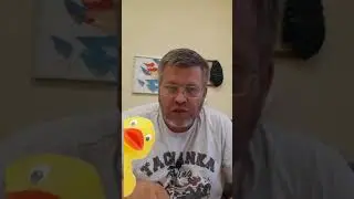 Как доказывать в суде? Рассказываю на примере утиного теста.
