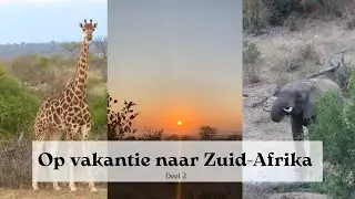 Zuid-Afrika Deel 2 | Op Safari