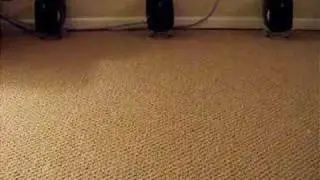 Shoelace vs. Laser Pointer
