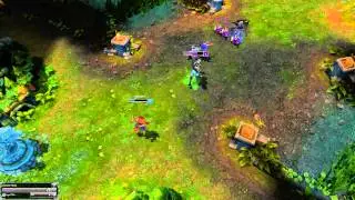 zed dive