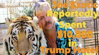 Joe Exotic reportedly spent $10,000 in Trump hotel! r/askReddit r/politics | Reddit Now TV