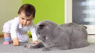Cat and Baby share a toy