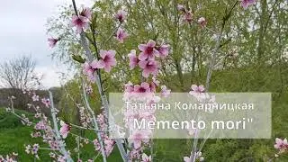Татьяна Комарницкая 12+ 