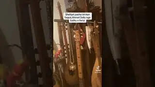 Ahmet Deliu-Salihu e Ferizi