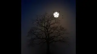 Intro Reis om de Maan in 30 dagen