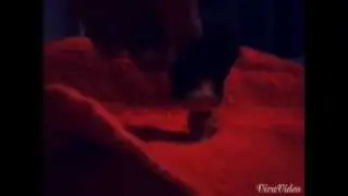 Муз.Видео.Бъянка ногами руками