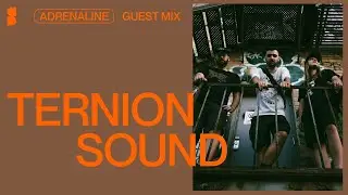 Adrenaline | Ternion Sound