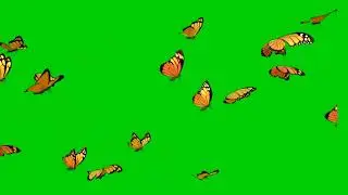 Butterfly green screen animation video| @editor g