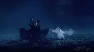 HTTYD // edit / HBD Furka!