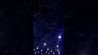 Miami Museum of Balloon - Performance