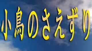 【睡眠用BGM】青空の下で寝転びながら聞く小鳥のさえずり / ヒーリングBGM