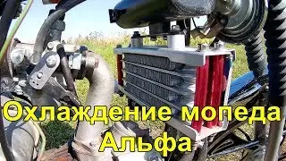 Oil radiator on an Alpha moped